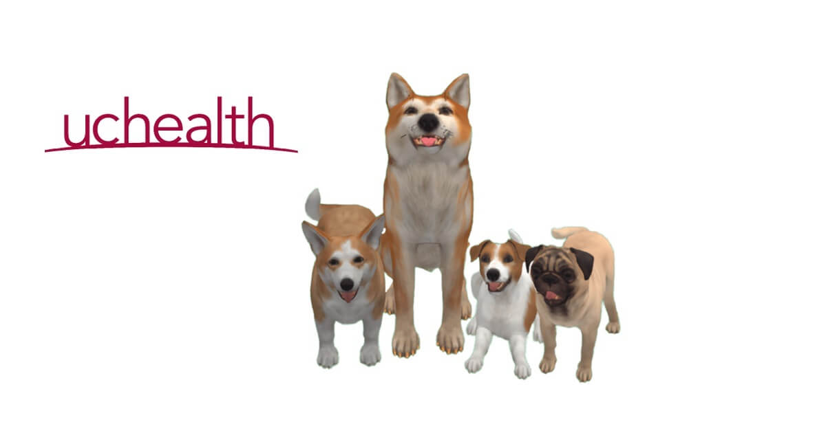 Hero image for UCHealth Web AR case study